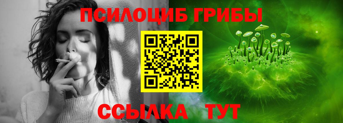 Псилоцибиновые грибы MAGIC MUSHROOMS  Вход с VPN  Славгород  Псилоцибиновые грибы ЛСД 